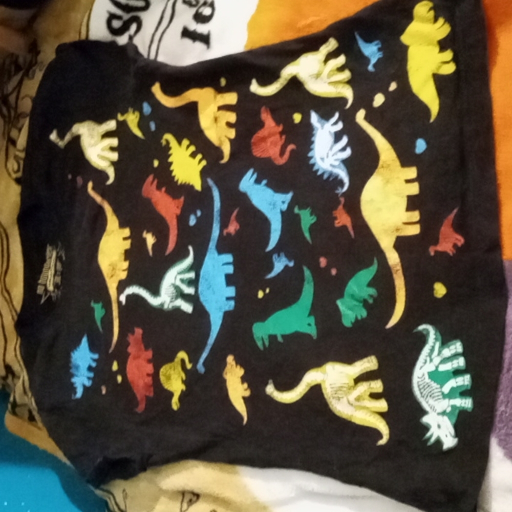 Vintage No Boundaries Skeleton Dinosaur